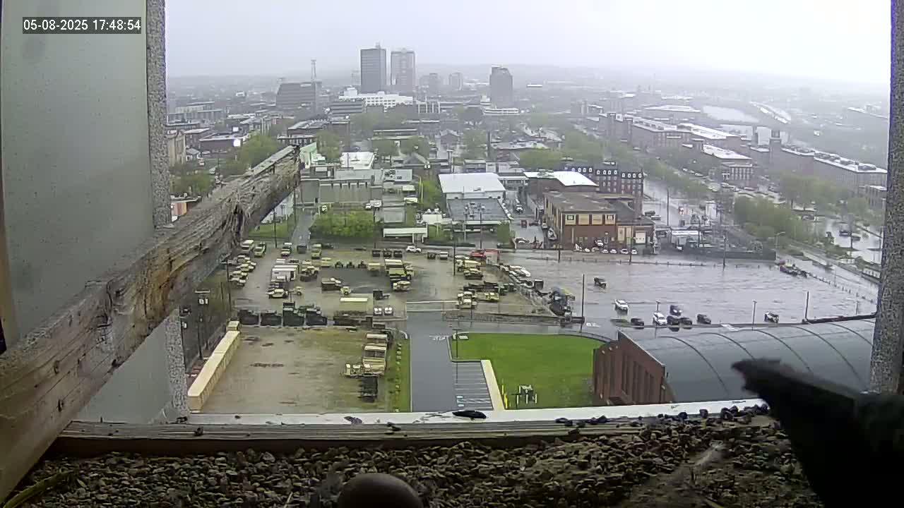 A rain-soaked cityscape view from a high vantage point shows a large parking lot filled with military vehicles, surrounded by buildings and a river in the distance.