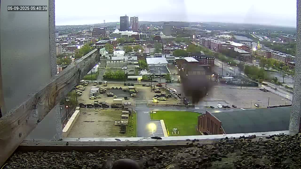 A high-angle, overcast view shows a city landscape with a large parking lot filled with military vehicles, seen from a windowsill.