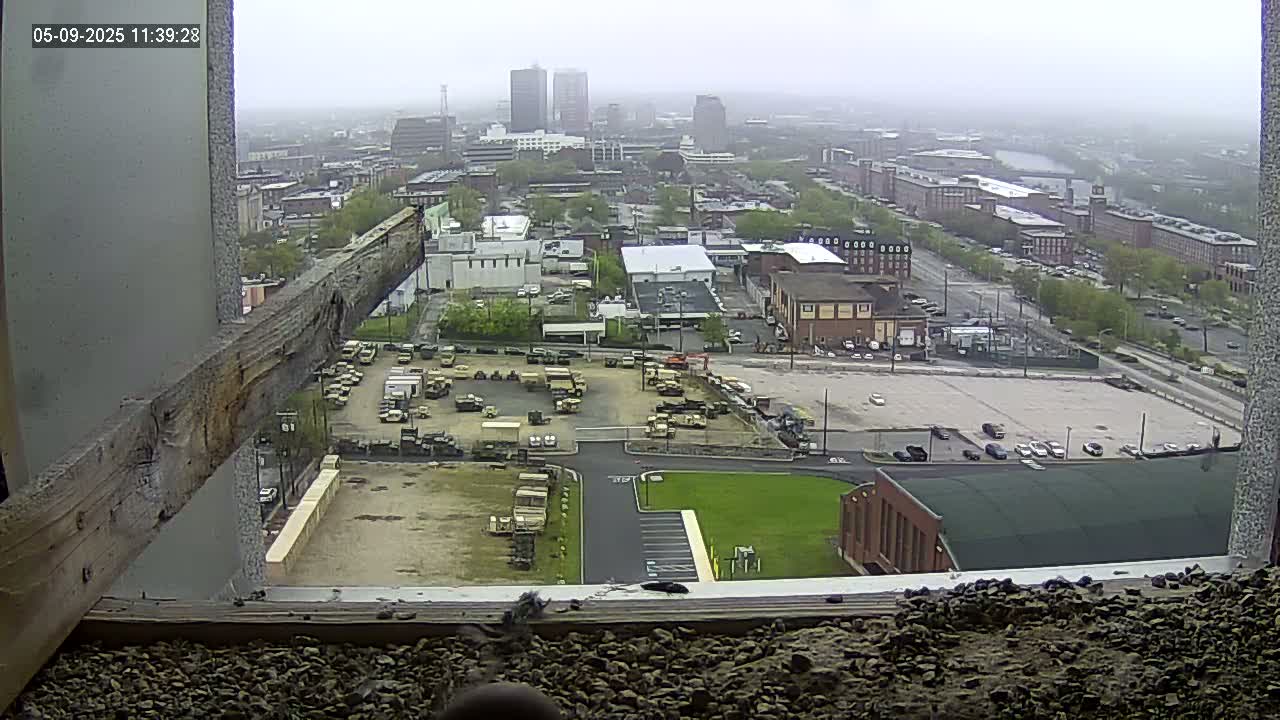 A hazy, overcast view from a high vantage point shows a city with military vehicles parked in a lot, surrounded by buildings and roads.