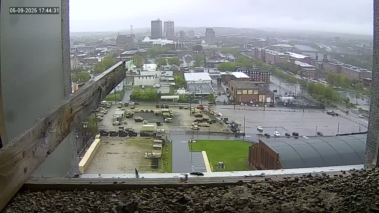 A high-angle, overcast view from a window shows a city with numerous buildings and a large parking lot containing military vehicles.