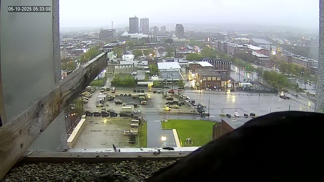 A rain-soaked city view is seen from a high vantage point, showing a parking lot and several buildings, with a partially visible wooden beam in the foreground.