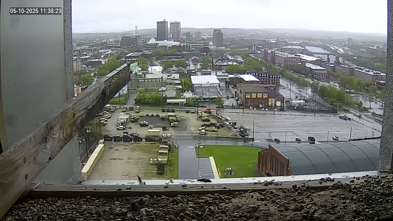 A rainy view from a high vantage point shows a city with numerous buildings, a large parking lot filled with military vehicles, and a grassy area.