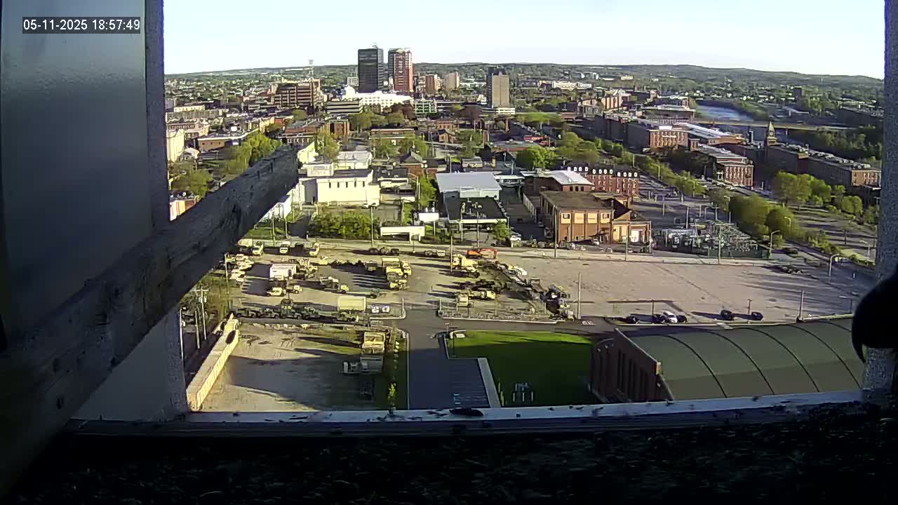 A high-angle, long shot shows a city under a clear, sunny sky; a large parking lot filled with military vehicles is in the foreground.