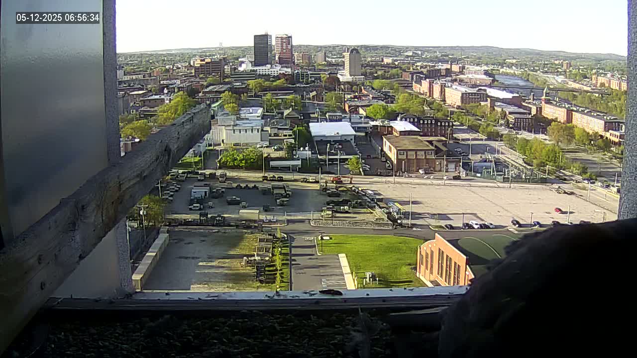 A high-angle, long shot of a city on a sunny day, viewed from a window showing a large parking lot with numerous vehicles, several buildings, and some green spaces.