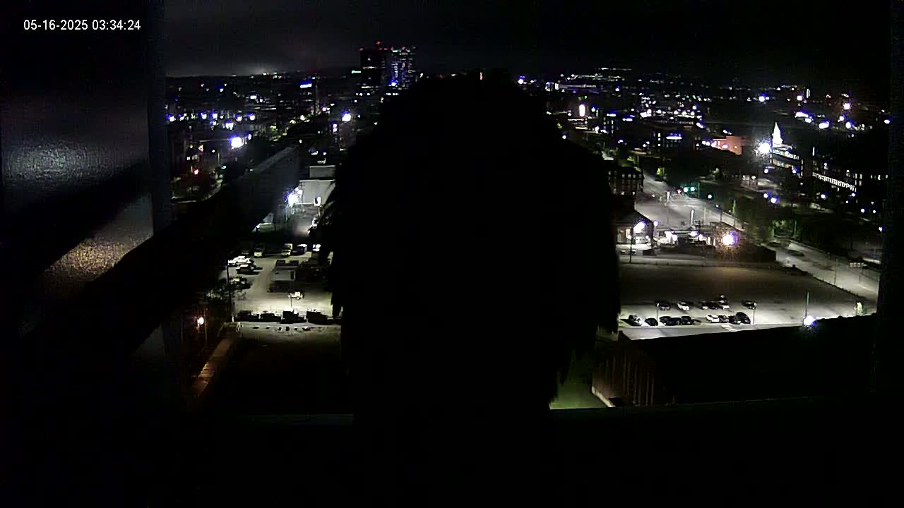 A nighttime, high-angle view of a city illuminated by streetlights and building lights, with a large, dark silhouette in the foreground.