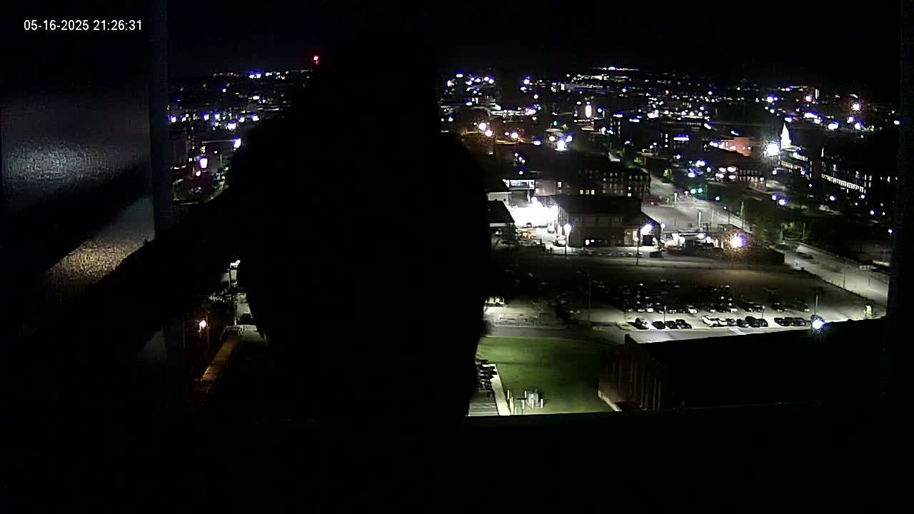 New Hampshire , Manchester City Skyline & Falcons Life Live Cam 1 - Manchester, Hillsborough, New Hampshire, USA