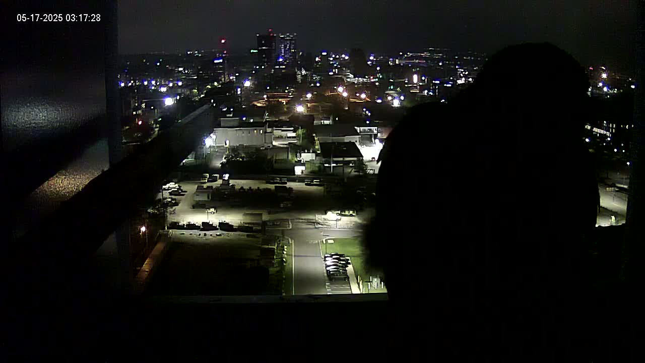 A silhouetted figure is seen from behind, looking out a window at a nighttime city landscape illuminated by streetlights and building lights.