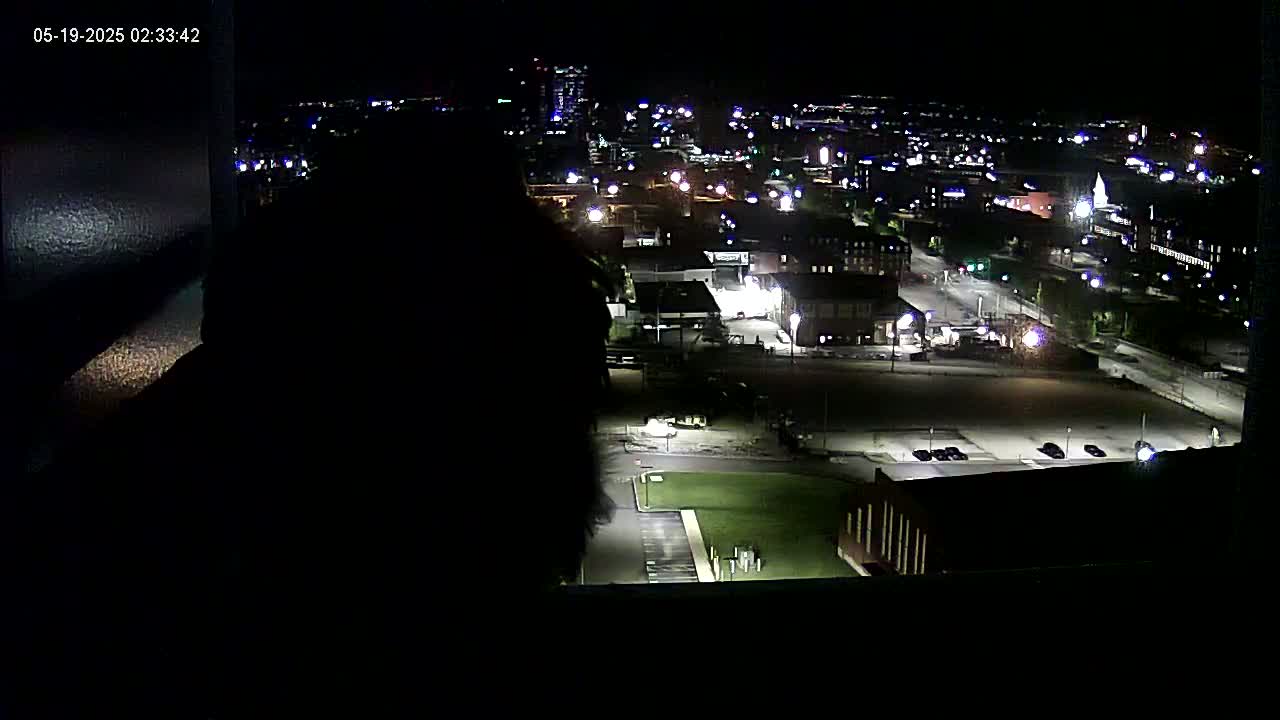 New Hampshire , Manchester City Skyline & Falcons Life Live Cam 1 - Manchester, Hillsborough, New Hampshire, USA