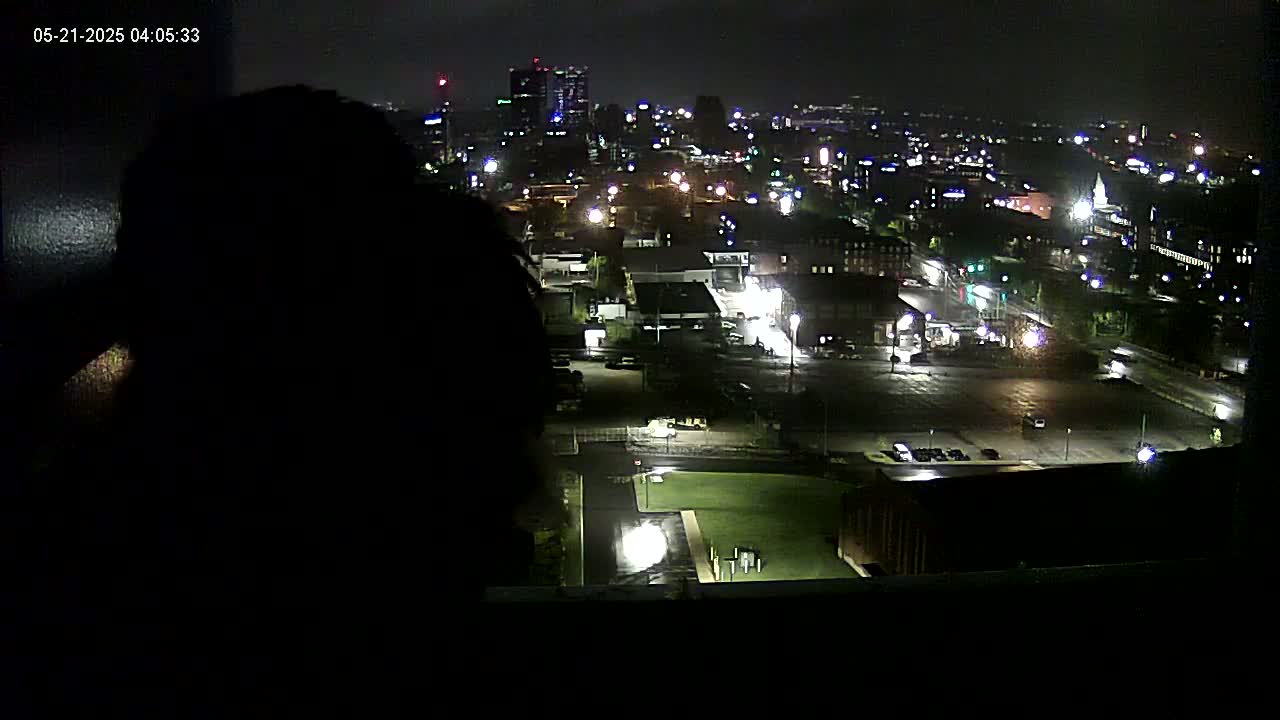 A silhouetted figure looks out from a window at a nighttime cityscape illuminated by streetlights and building lights under a dark sky.