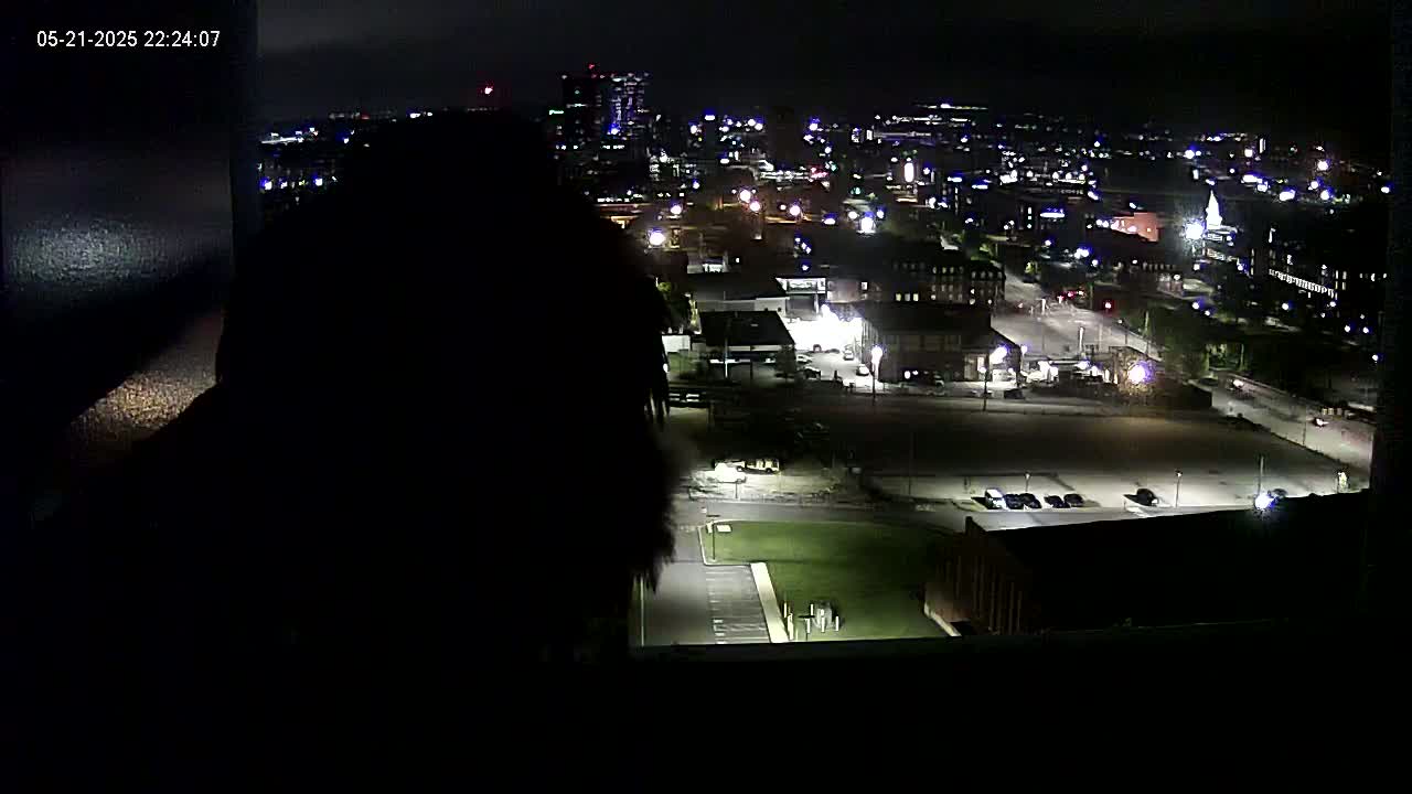 A silhouetted figure is seen looking out a window at a nighttime cityscape, illuminated by streetlights and building lights.