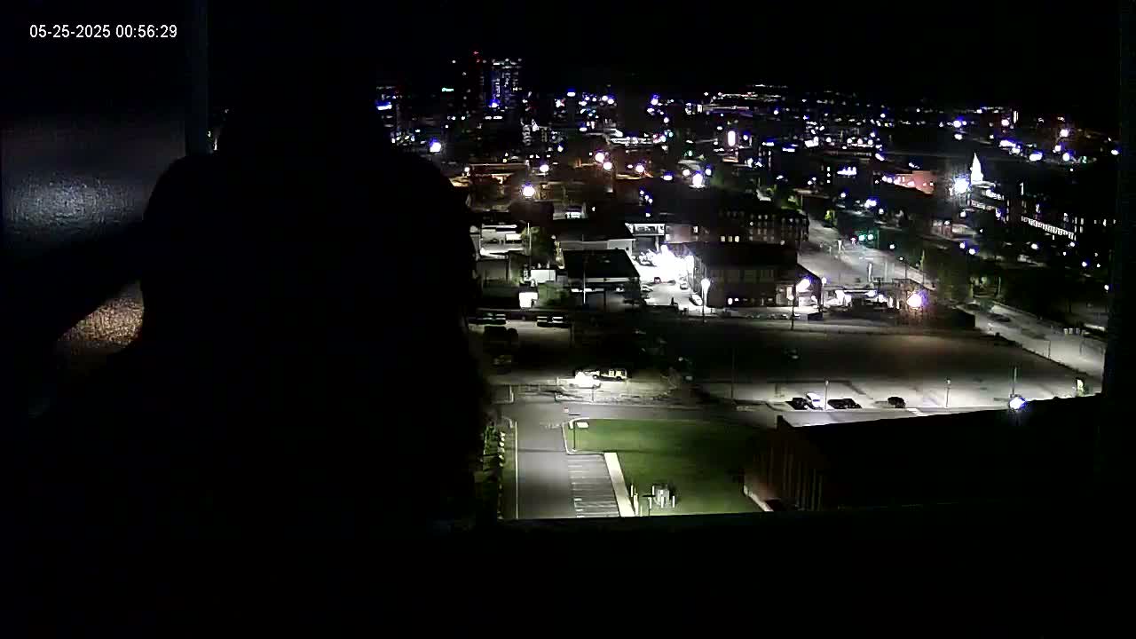 New Hampshire , Manchester City Skyline & Falcons Life Live Cam 1 - Manchester, Hillsborough, New Hampshire, USA