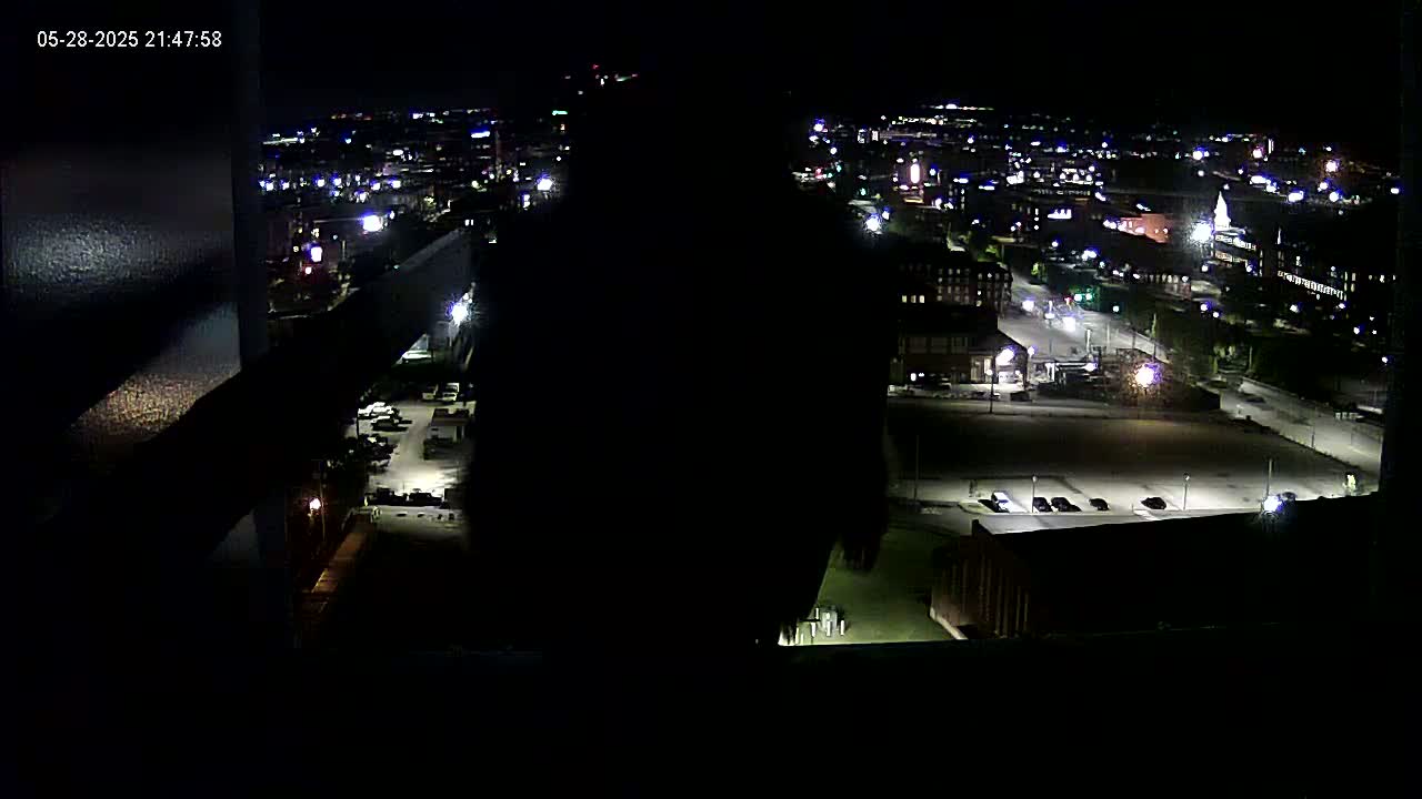 A nighttime view of a city with illuminated streets and buildings, seen from a high vantage point, with a large dark silhouette in the foreground.