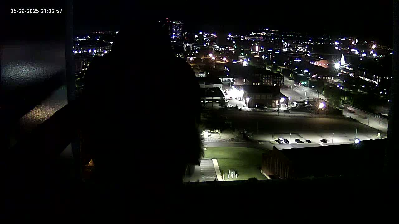 A nighttime, high-angle view of a city illuminated by streetlights, with a large, dark silhouette obscuring part of the foreground.