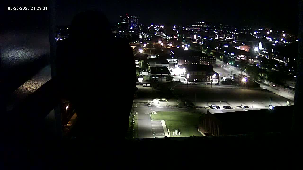 A nighttime, high-angle view of a city illuminated by streetlights and building lights, with a large dark shape obscuring part of the foreground.