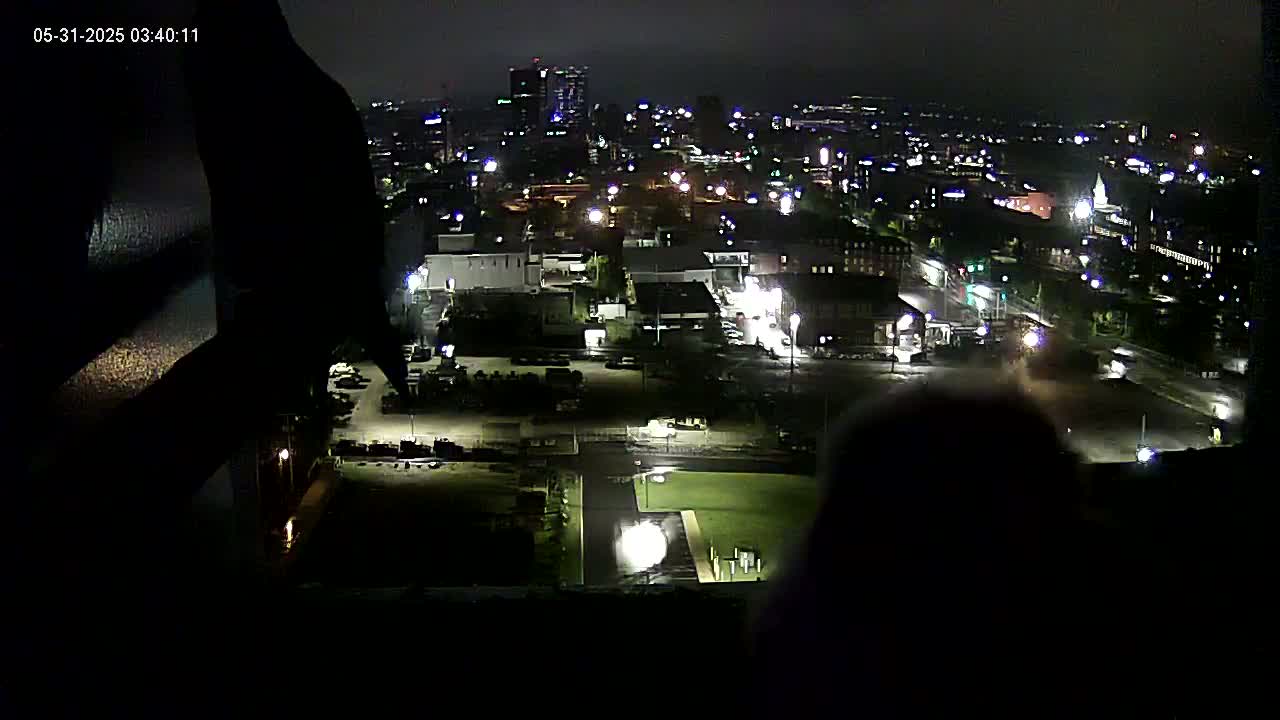 A nighttime, high-angle view of a city illuminated by streetlights and building lights, with some wet pavement visible.