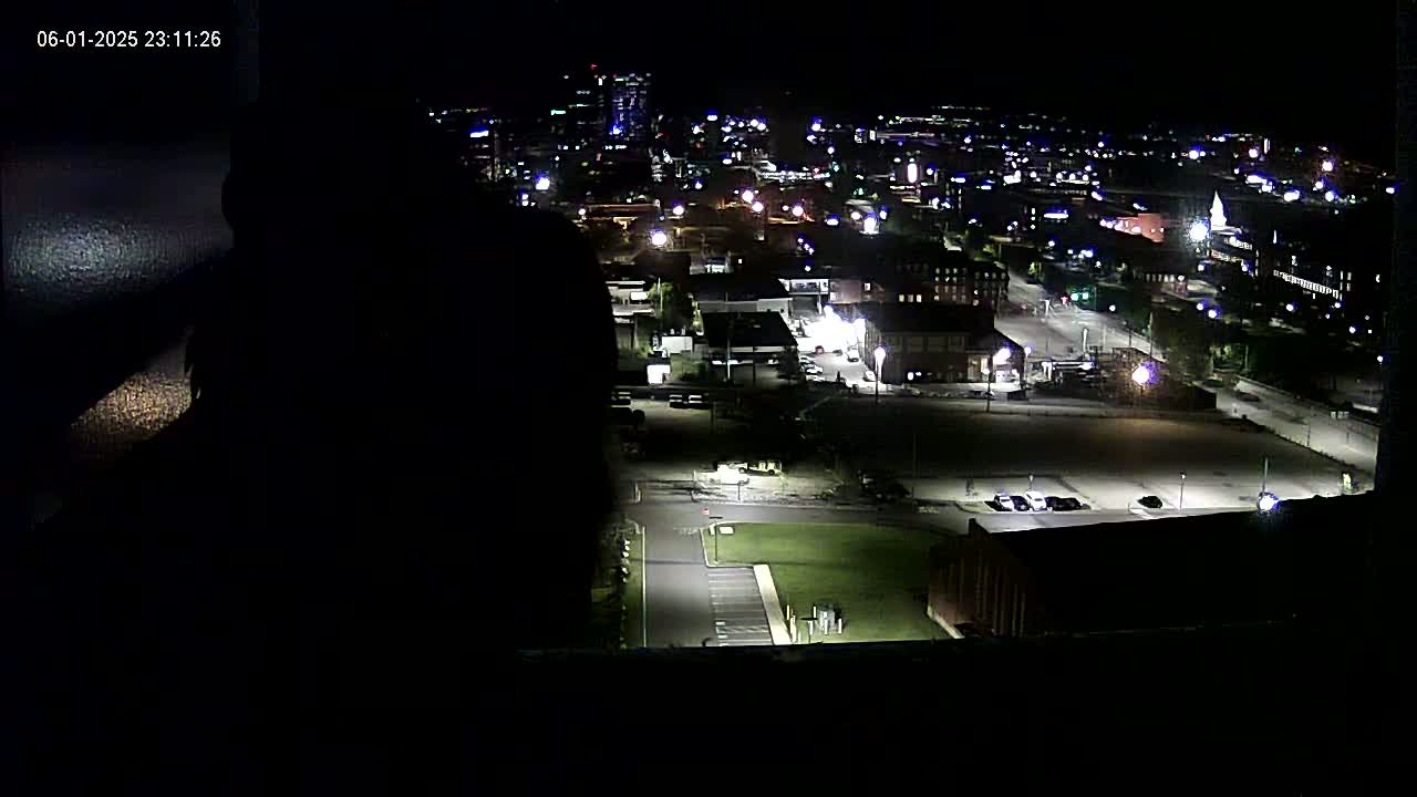 A nighttime, high-angle view of a city illuminated by streetlights and building lights.