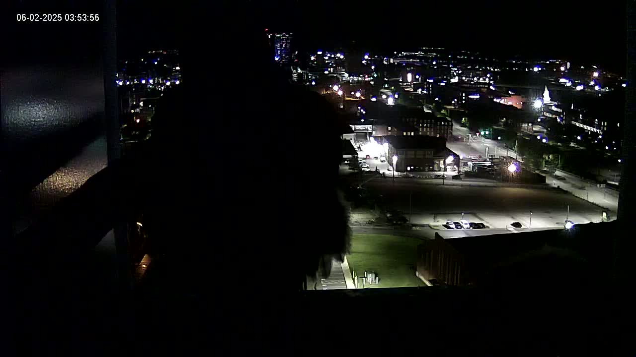 A nighttime, high-angle view of a city illuminated by streetlights and building lights, partially obscured by a large, dark object in the foreground.