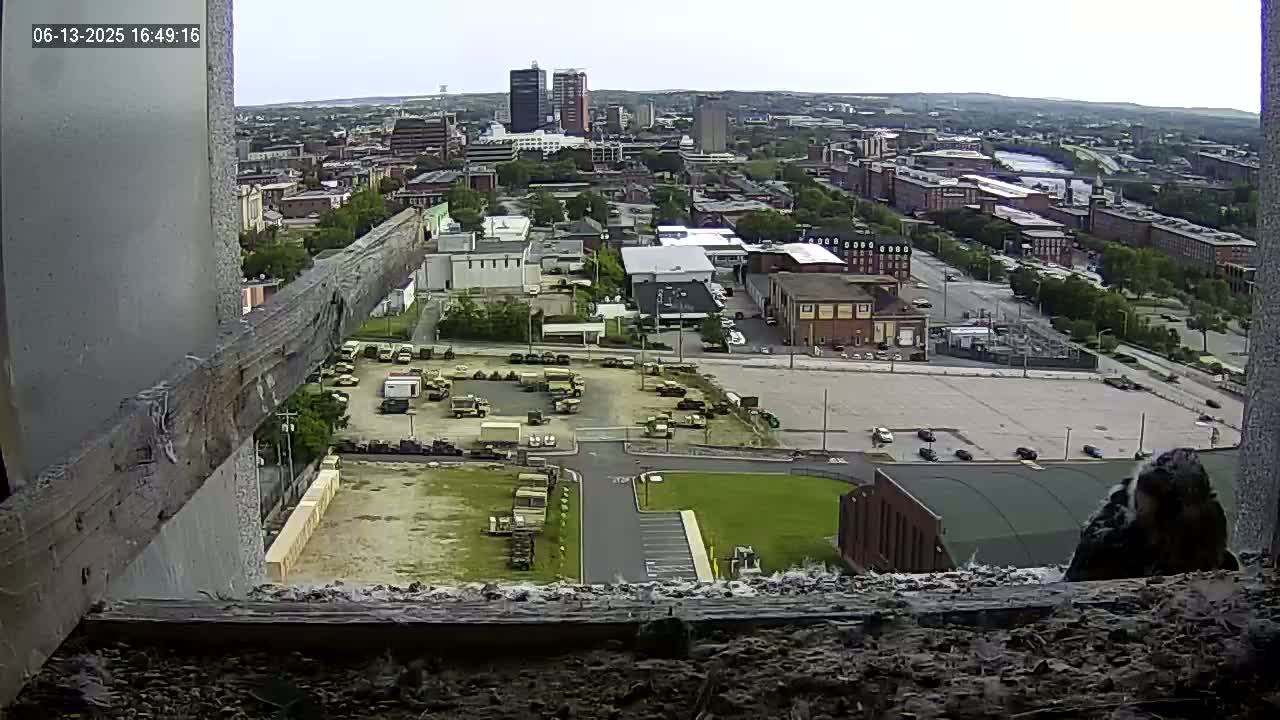 A high-angle view on a partly cloudy day shows a city with military vehicles parked in a lot, and a bird perched on a window ledge.