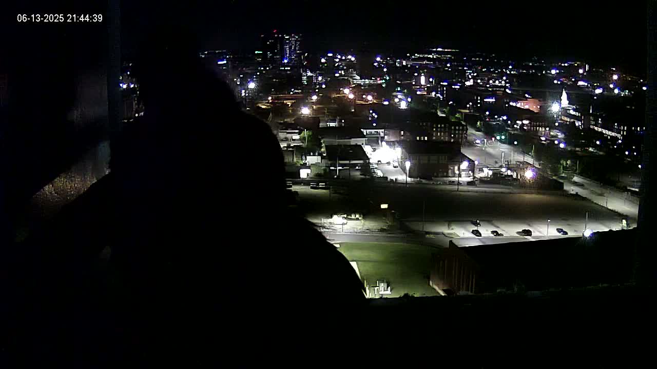 New Hampshire , Manchester City Skyline & Falcons Life Live Cam 1 - Manchester, Hillsborough, New Hampshire, USA