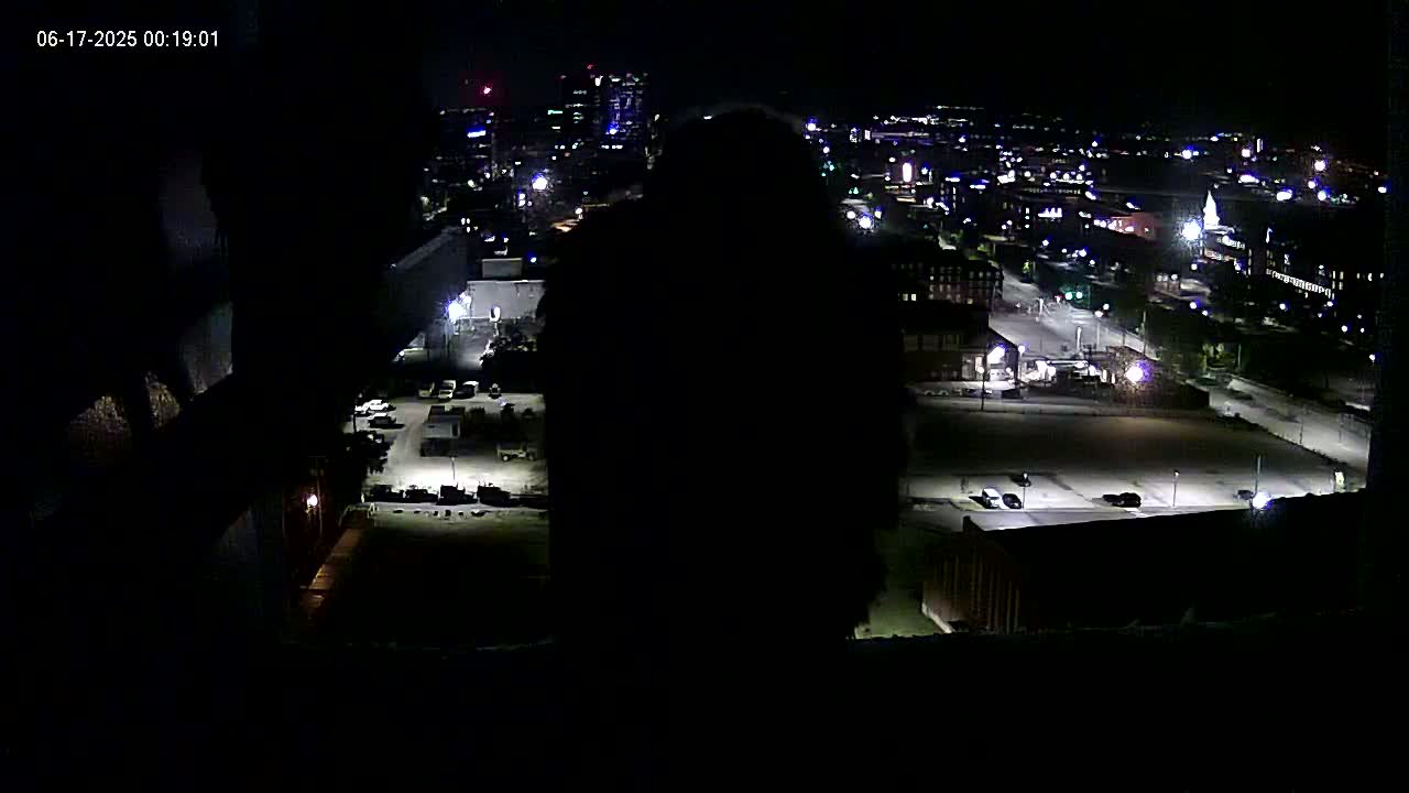 New Hampshire , Manchester City Skyline & Falcons Life Live Cam 1 - Manchester, Hillsborough, New Hampshire, USA