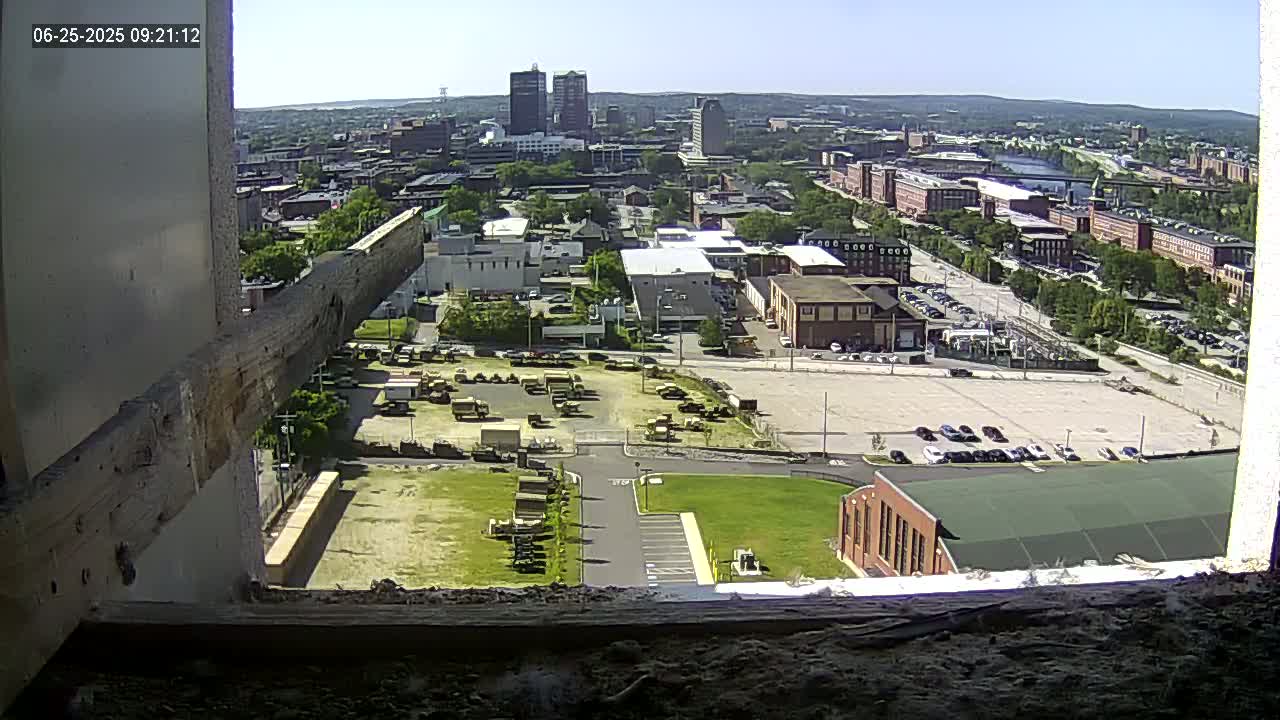 New Hampshire , Manchester City Skyline & Falcons Life Live Cam 1 - Manchester, Hillsborough, New Hampshire, USA