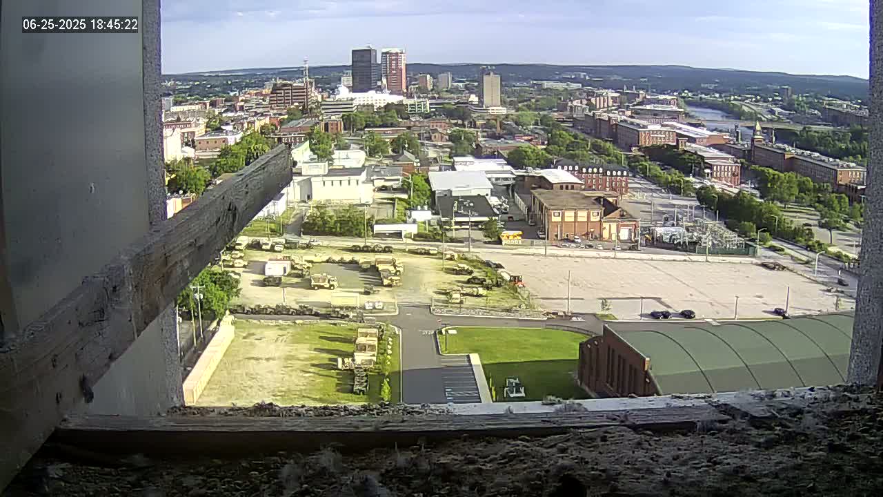 New Hampshire , Manchester City Skyline & Falcons Life Live Cam 1 - Manchester, Hillsborough, New Hampshire, USA