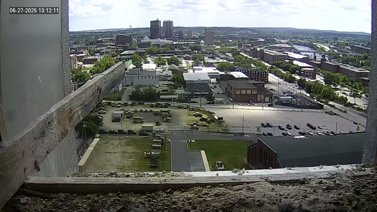 New Hampshire , Manchester City Skyline & Falcons Life Live Cam 1 - Manchester, Hillsborough, New Hampshire, USA
