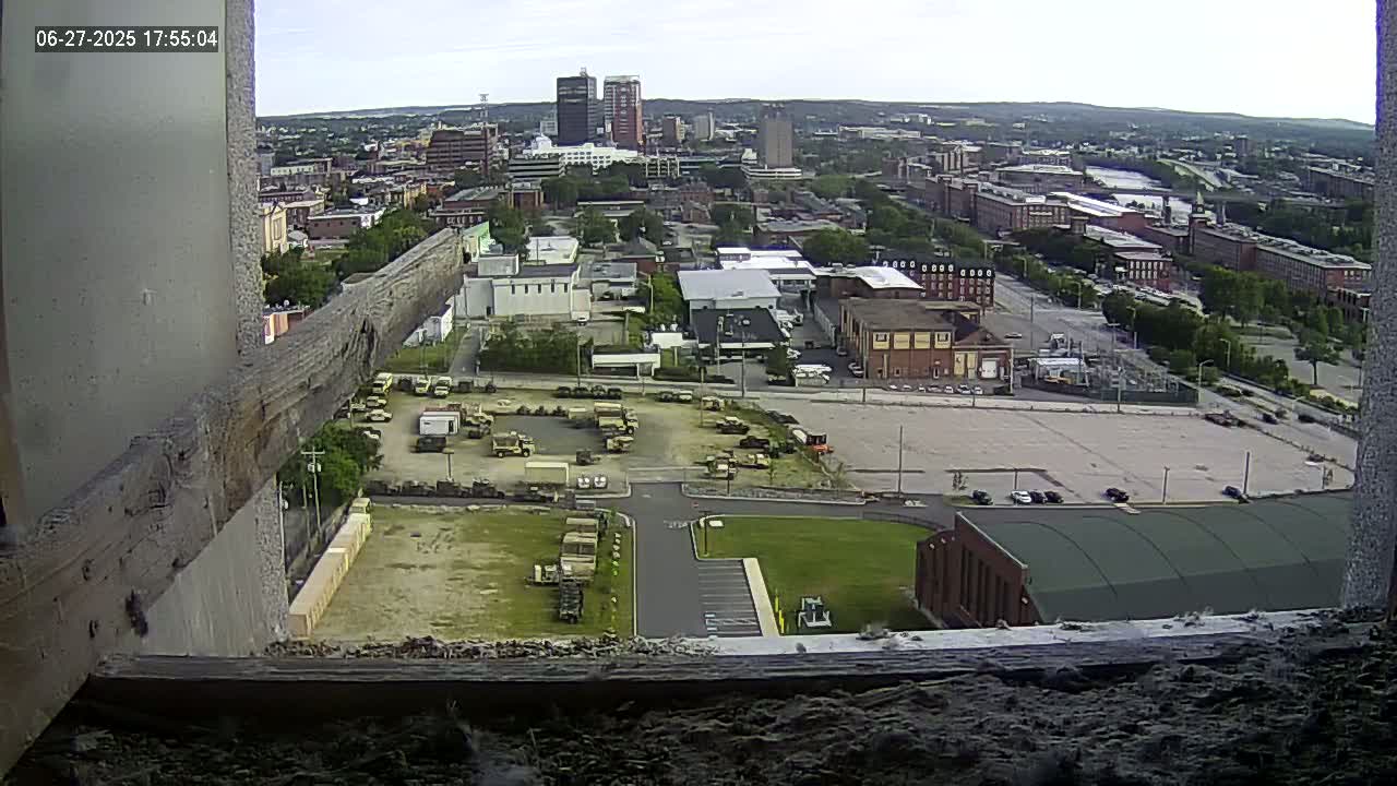 New Hampshire , Manchester City Skyline & Falcons Life Live Cam 1 - Manchester, Hillsborough, New Hampshire, USA