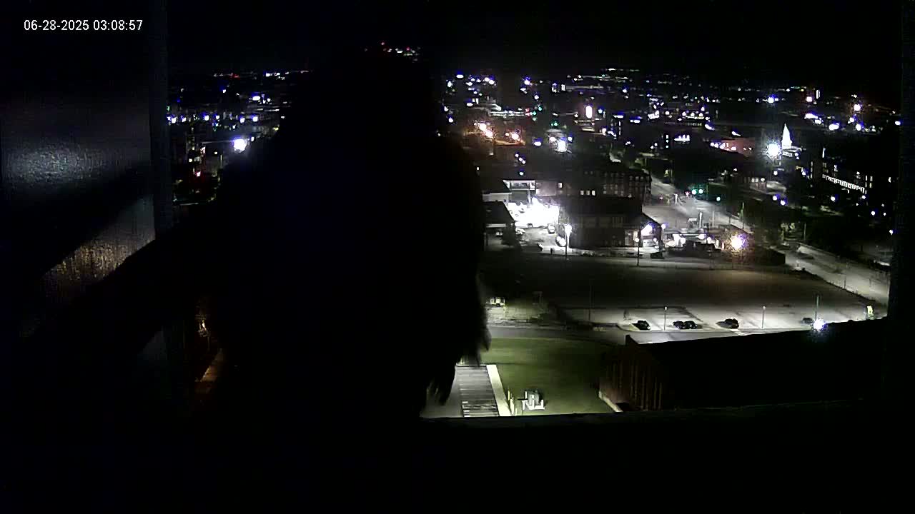 A nighttime, high-angle view from a window shows a dark, silhouetted figure in the foreground overlooking a city with illuminated streets and buildings.