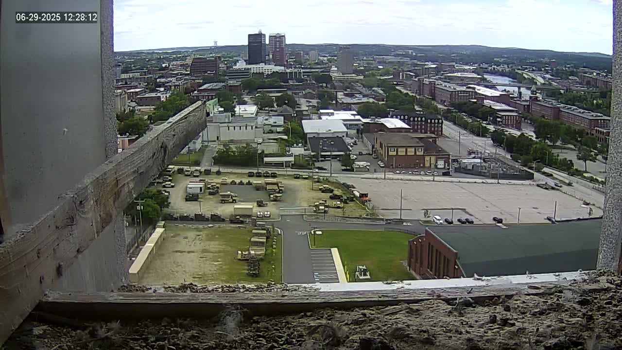 New Hampshire , Manchester City Skyline & Falcons Life Live Cam 1 - Manchester, Hillsborough, New Hampshire, USA