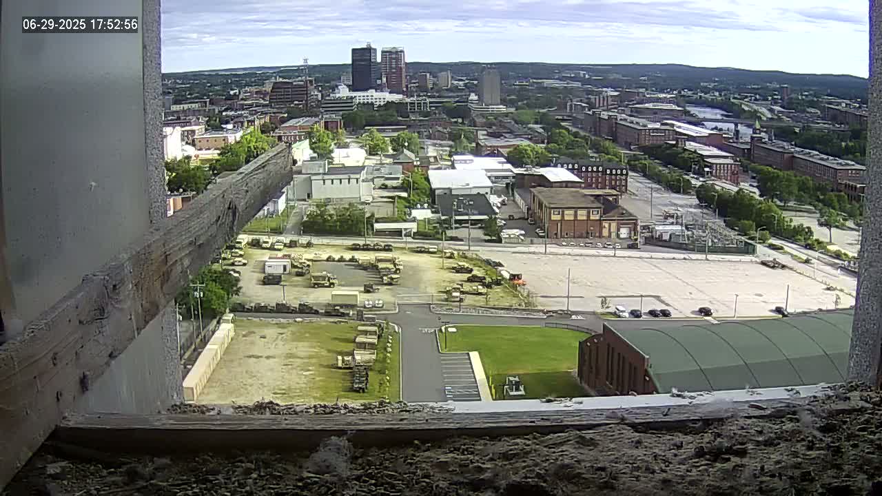 New Hampshire , Manchester City Skyline & Falcons Life Live Cam 1 - Manchester, Hillsborough, New Hampshire, USA