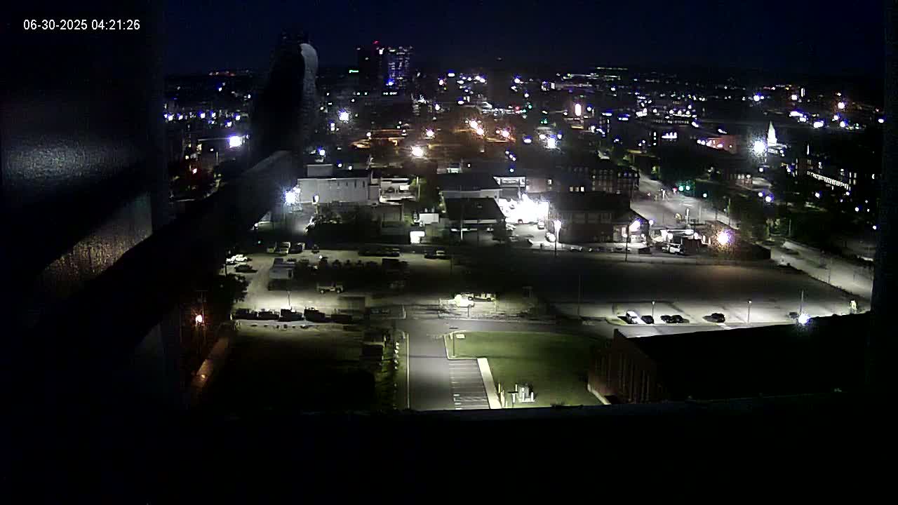 New Hampshire , Manchester City Skyline & Falcons Life Live Cam 1 - Manchester, Hillsborough, New Hampshire, USA