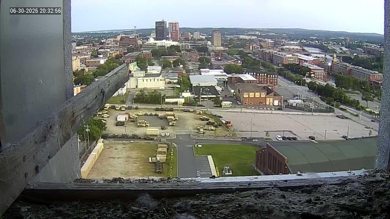 New Hampshire , Manchester City Skyline & Falcons Life Live Cam 1 - Manchester, Hillsborough, New Hampshire, USA