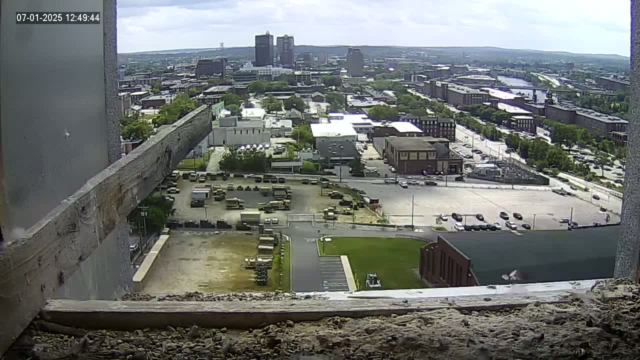 New Hampshire , Manchester City Skyline & Falcons Life Live Cam 1 - Manchester, Hillsborough, New Hampshire, USA