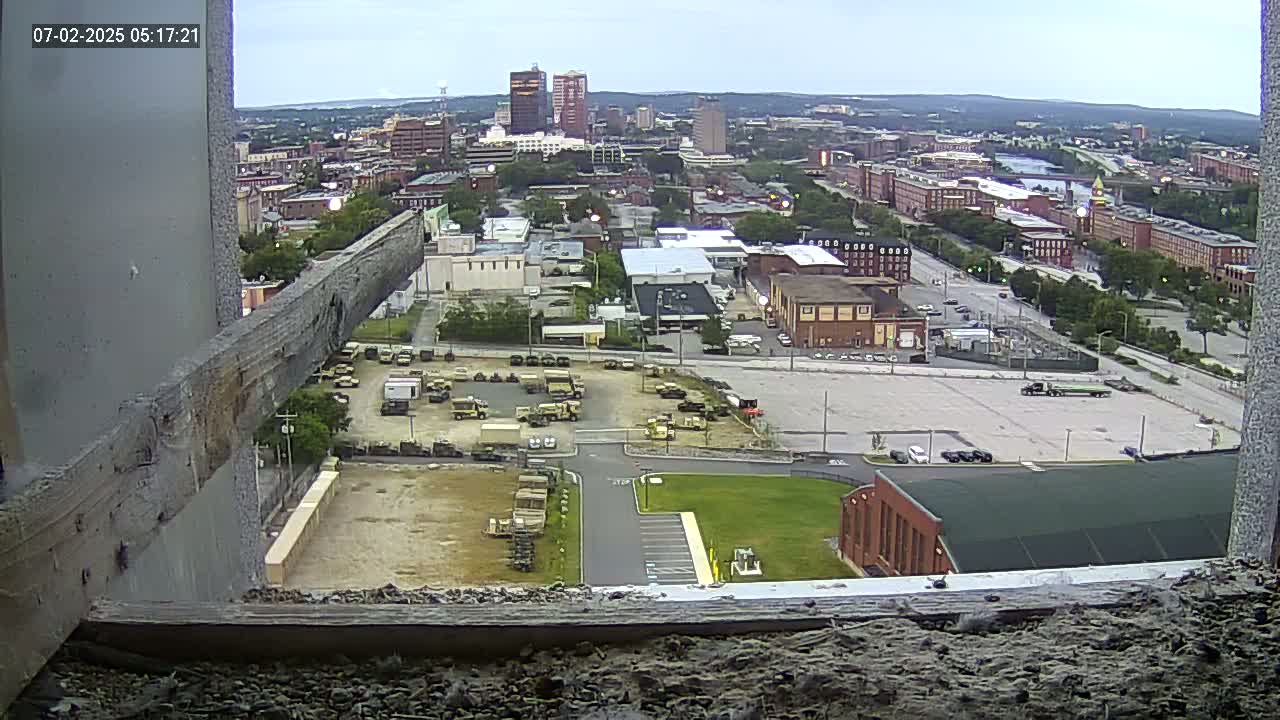 New Hampshire , Manchester City Skyline & Falcons Life Live Cam 1 - Manchester, Hillsborough, New Hampshire, USA