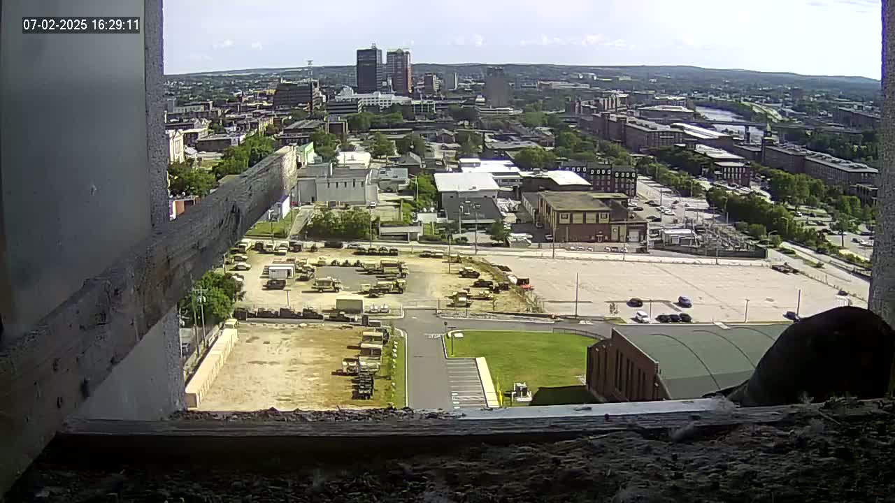 New Hampshire , Manchester City Skyline & Falcons Life Live Cam 1 - Manchester, Hillsborough, New Hampshire, USA