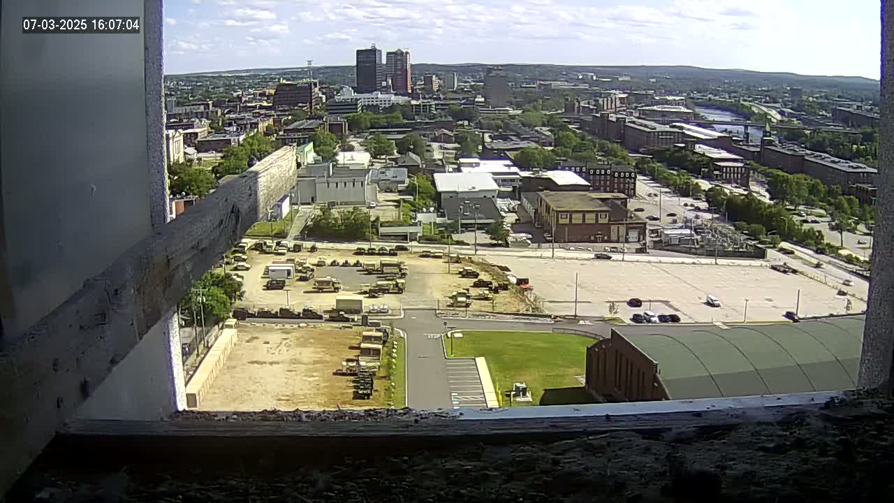 New Hampshire , Manchester City Skyline & Falcons Life Live Cam 1 - Manchester, Hillsborough, New Hampshire, USA