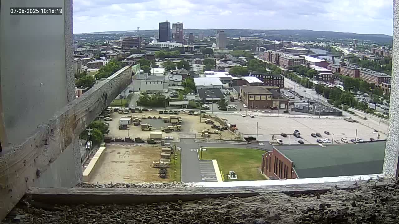 New Hampshire , Manchester City Skyline & Falcons Life Live Cam 1 - Manchester, Hillsborough, New Hampshire, USA