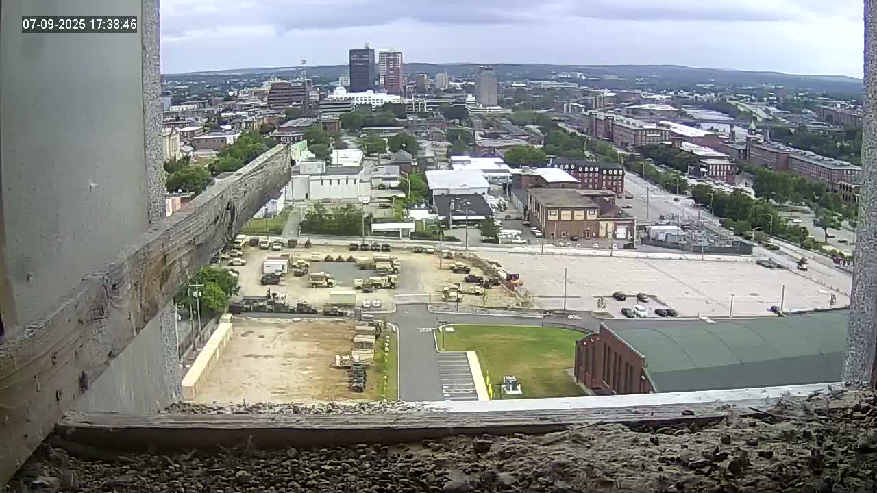 New Hampshire , Manchester City Skyline & Falcons Life Live Cam 1 - Manchester, Hillsborough, New Hampshire, USA
