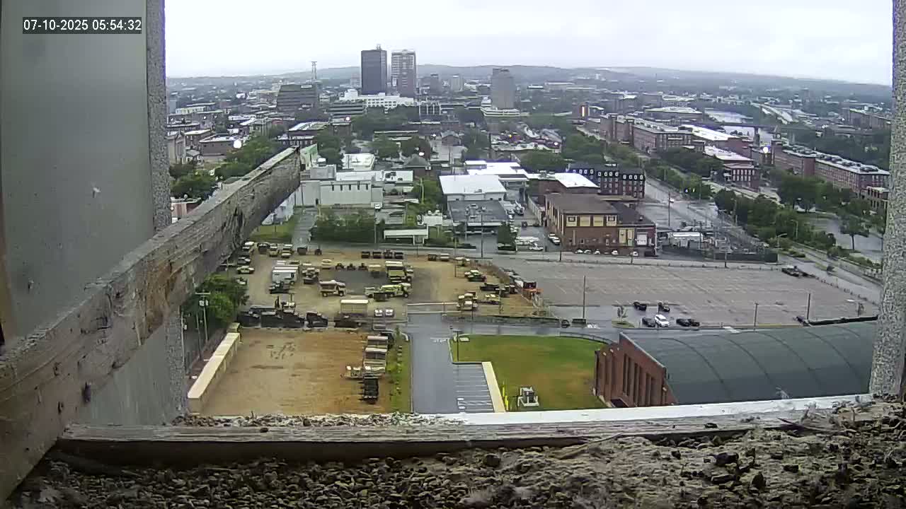 New Hampshire , Manchester City Skyline & Falcons Life Live Cam 1 - Manchester, Hillsborough, New Hampshire, USA
