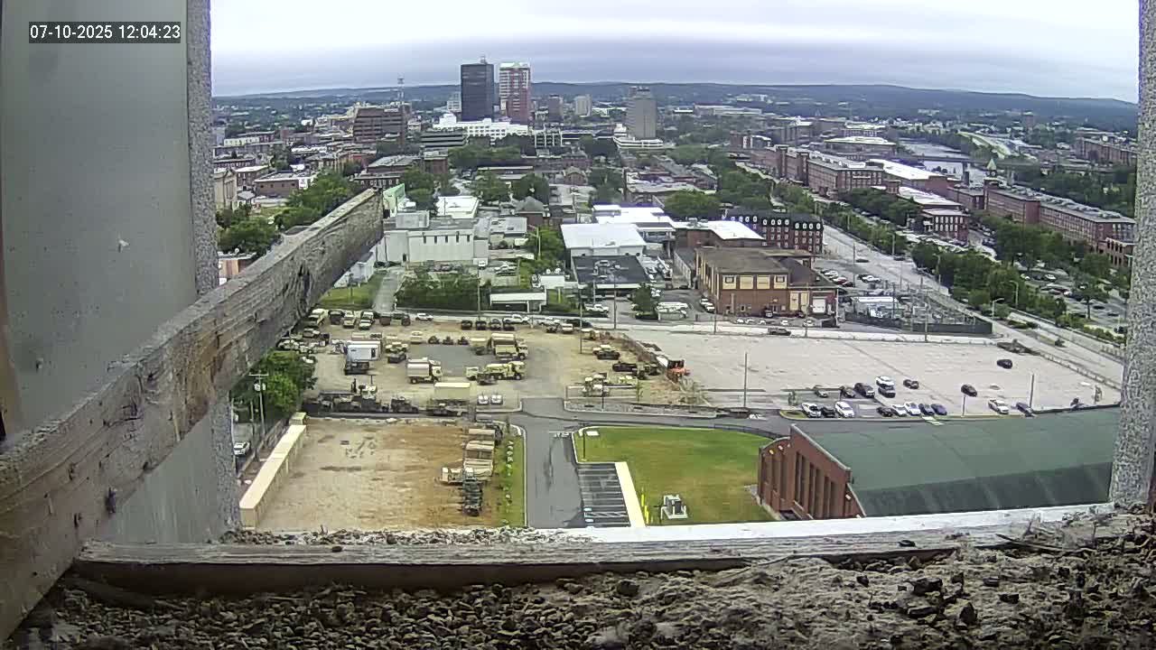 New Hampshire , Manchester City Skyline & Falcons Life Live Cam 1 - Manchester, Hillsborough, New Hampshire, USA