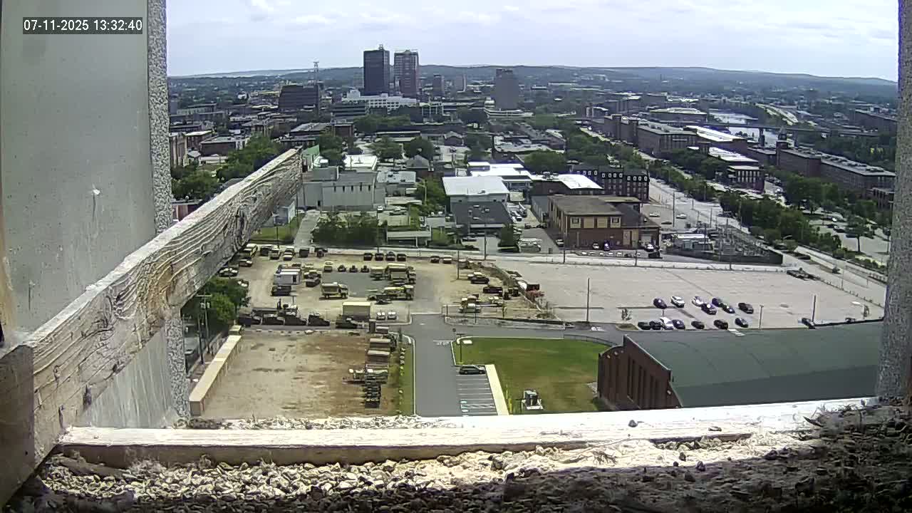 New Hampshire , Manchester City Skyline & Falcons Life Live Cam 1 - Manchester, Hillsborough, New Hampshire, USA