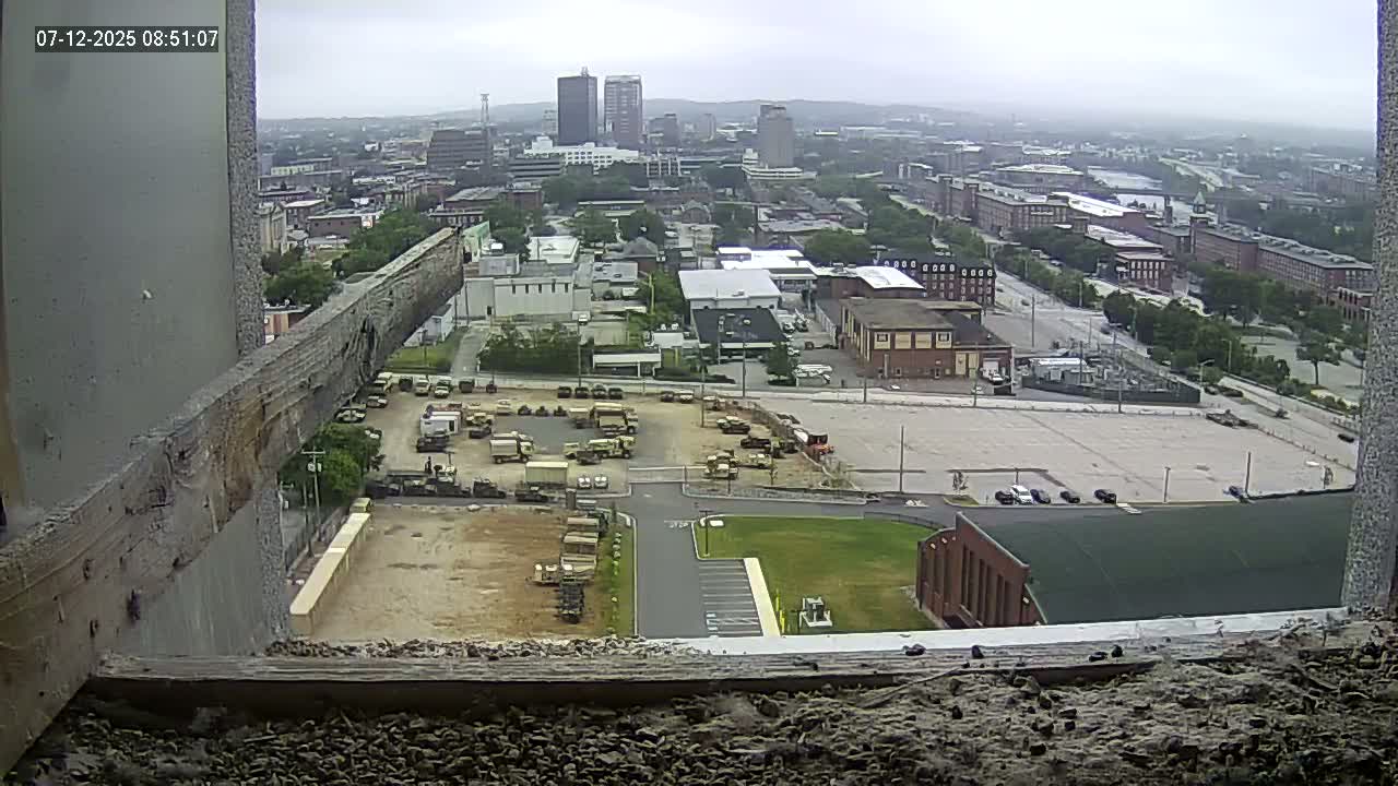 New Hampshire , Manchester City Skyline & Falcons Life Live Cam 1 - Manchester, Hillsborough, New Hampshire, USA