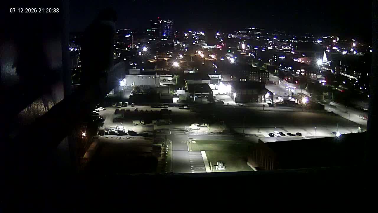 New Hampshire , Manchester City Skyline & Falcons Life Live Cam 1 - Manchester, Hillsborough, New Hampshire, USA