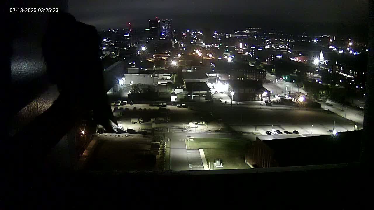 A nighttime, high-angle view of a city illuminated by streetlights, featuring a large dark shape partially obscuring the foreground.