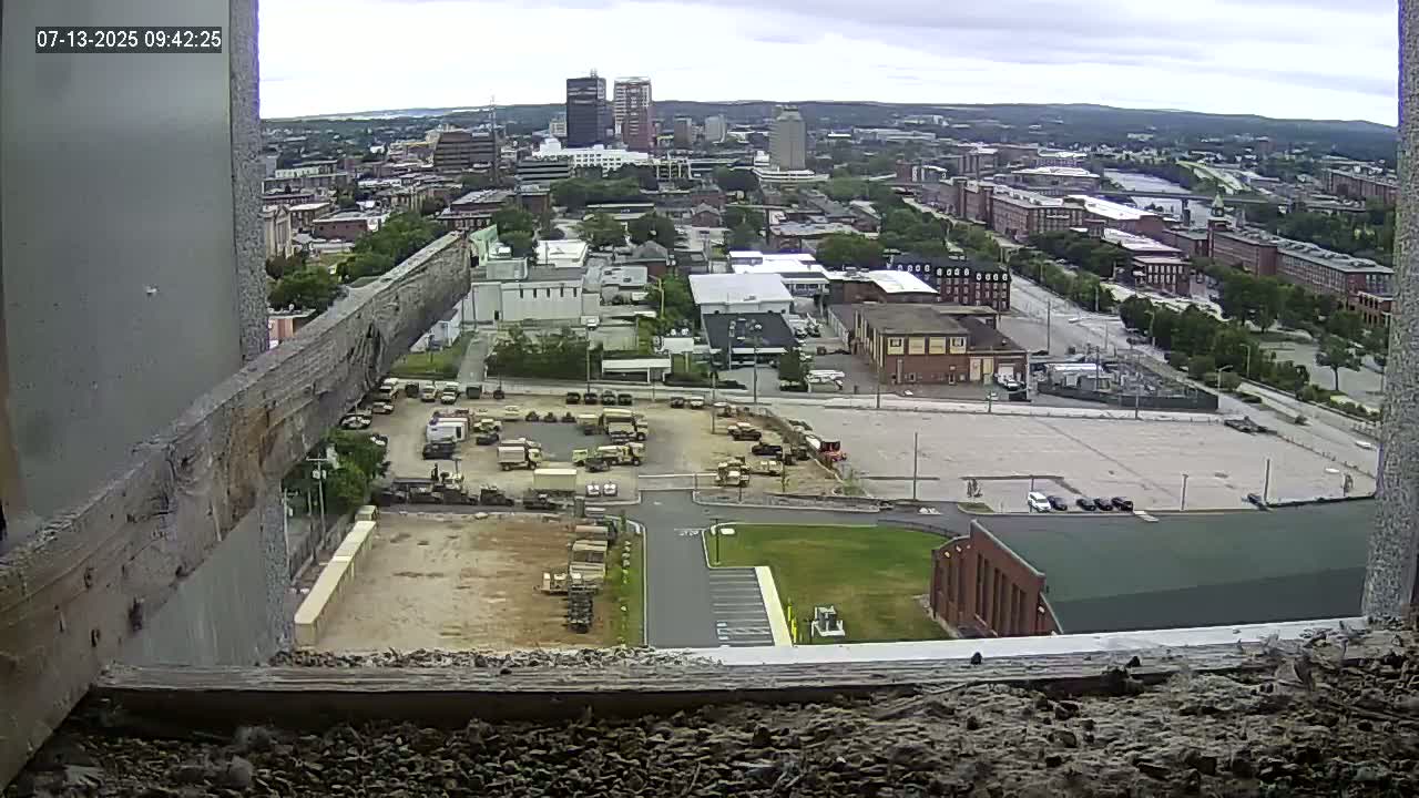 New Hampshire , Manchester City Skyline & Falcons Life Live Cam 1 - Manchester, Hillsborough, New Hampshire, USA