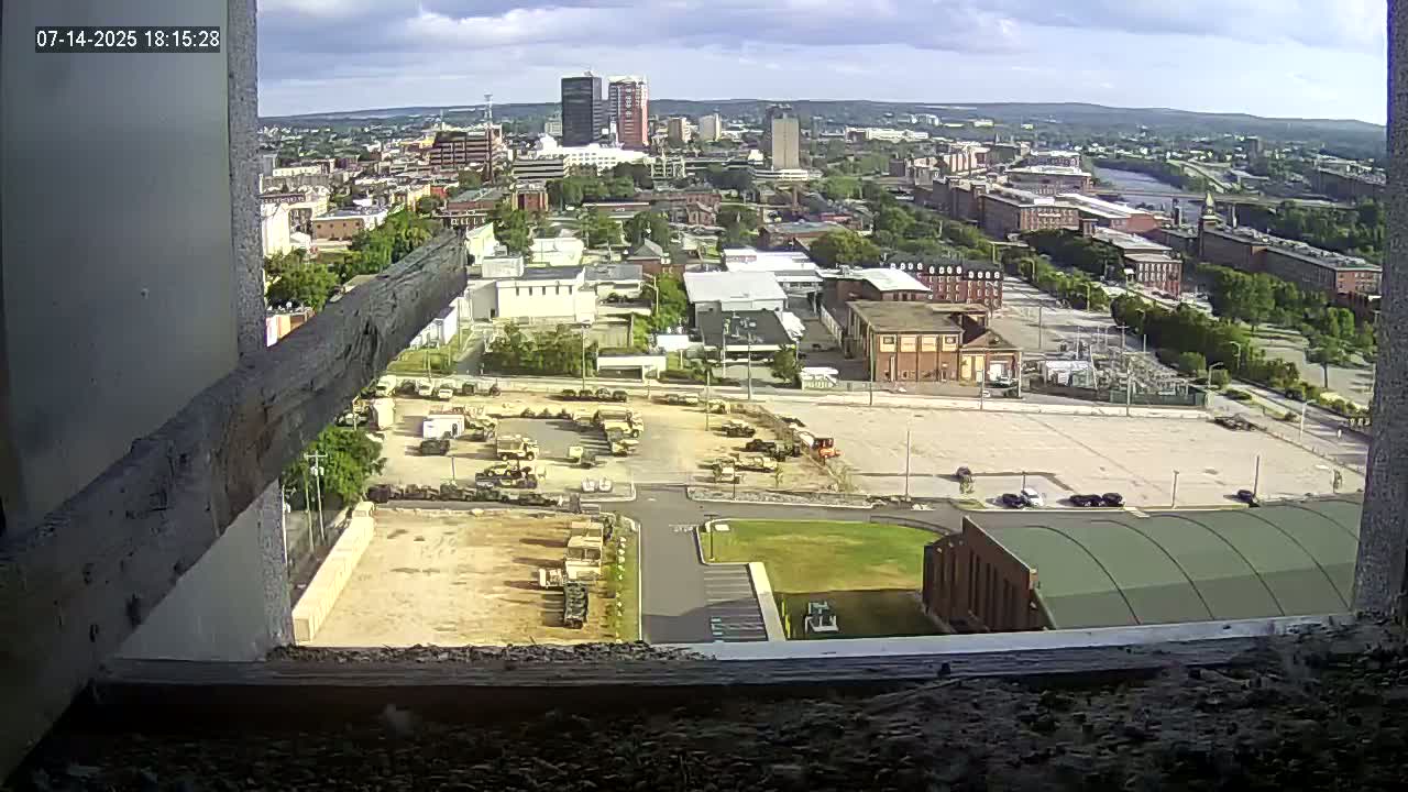New Hampshire , Manchester City Skyline & Falcons Life Live Cam 1 - Manchester, Hillsborough, New Hampshire, USA