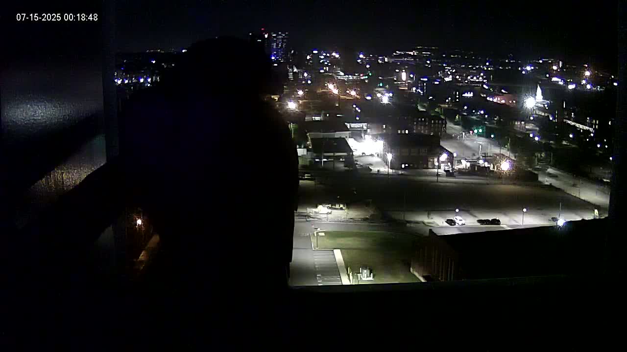 New Hampshire , Manchester City Skyline & Falcons Life Live Cam 1 - Manchester, Hillsborough, New Hampshire, USA