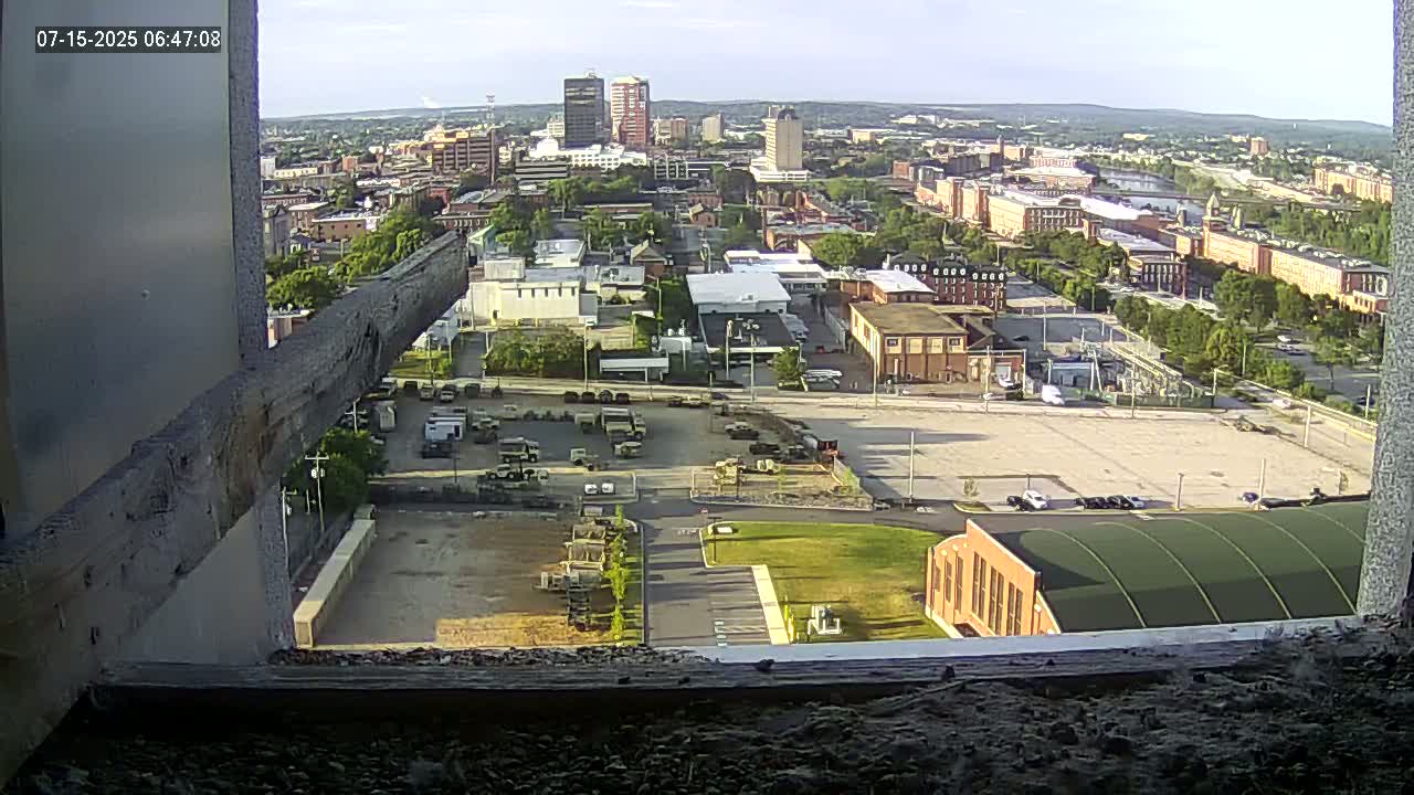 New Hampshire , Manchester City Skyline & Falcons Life Live Cam 1 - Manchester, Hillsborough, New Hampshire, USA
