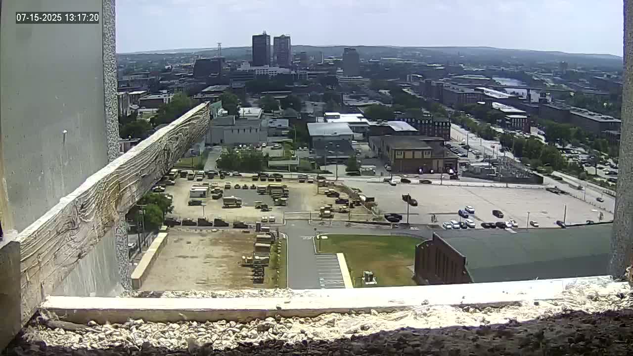 New Hampshire , Manchester City Skyline & Falcons Life Live Cam 1 - Manchester, Hillsborough, New Hampshire, USA